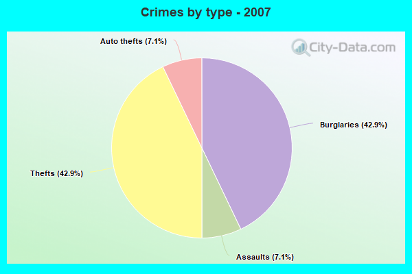 Crimes by type - 2007