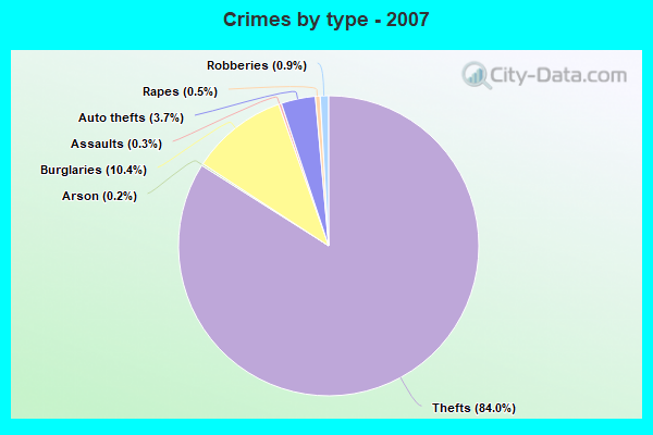 Crimes by type - 2007