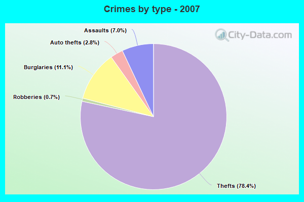 Crimes by type - 2007