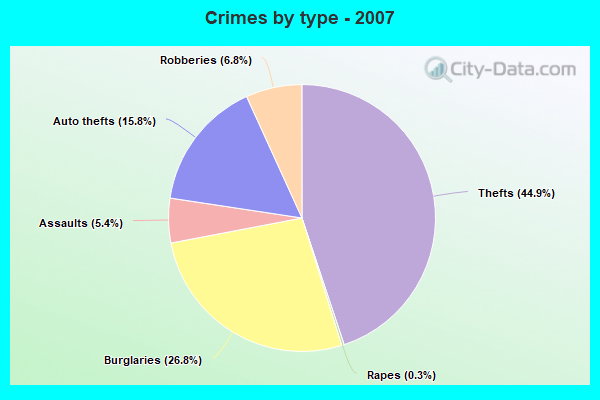 Crimes by type - 2007