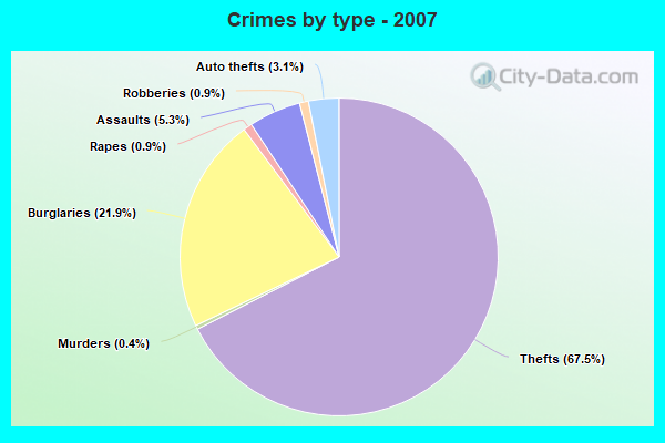 Crimes by type - 2007