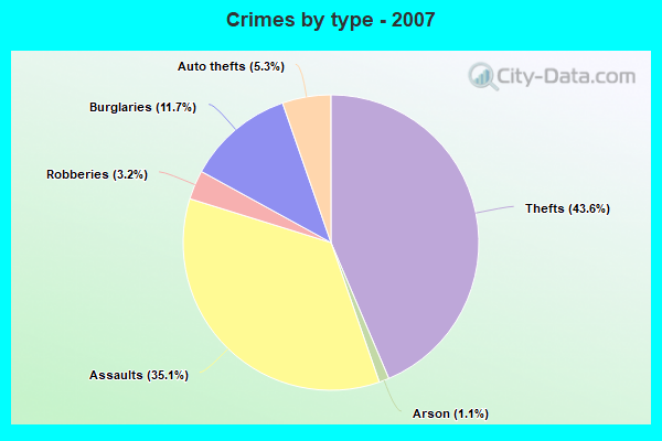 Crimes by type - 2007