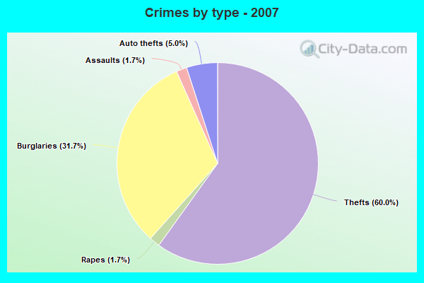 Crimes by type - 2007