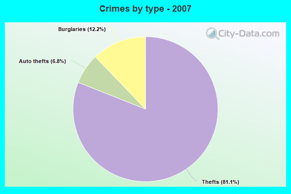 Crimes by type - 2007