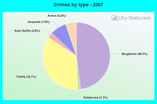 Crimes by type - 2007