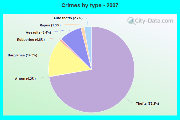 Crimes by type - 2007