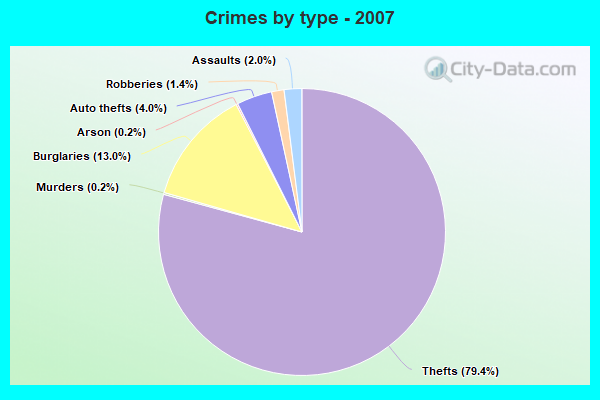 Crimes by type - 2007