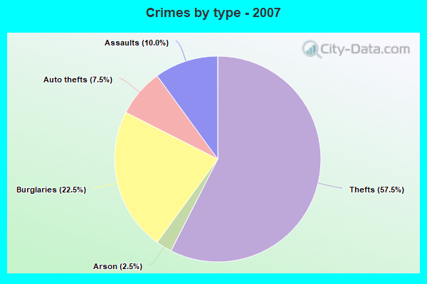 Crimes by type - 2007