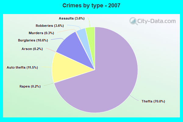 Crimes by type - 2007