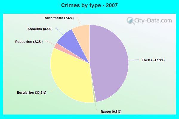 Crimes by type - 2007