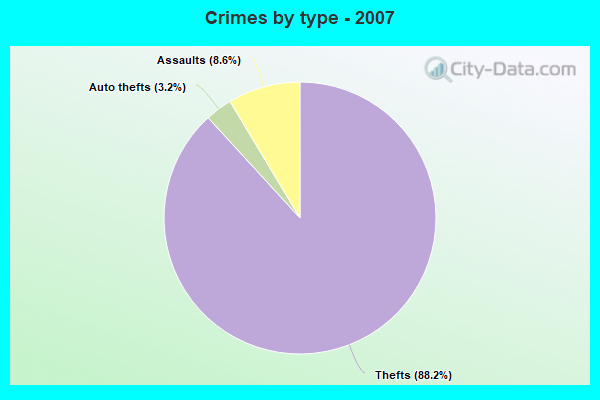 Crimes by type - 2007