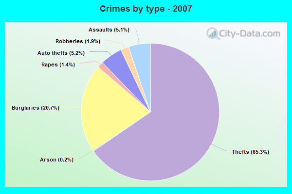 Crimes by type - 2007