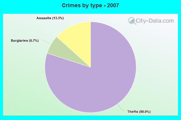 Crimes by type - 2007