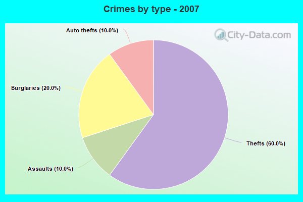 Crimes by type - 2007