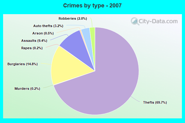 Crimes by type - 2007