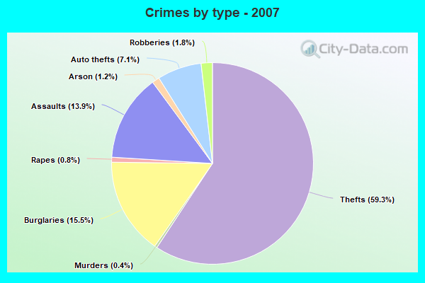 Crimes by type - 2007