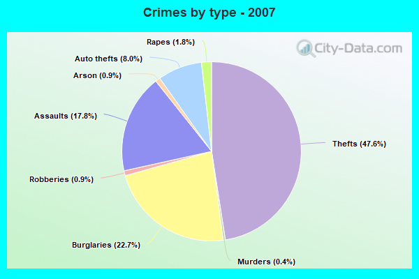 Crimes by type - 2007