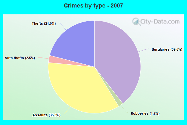 Crimes by type - 2007