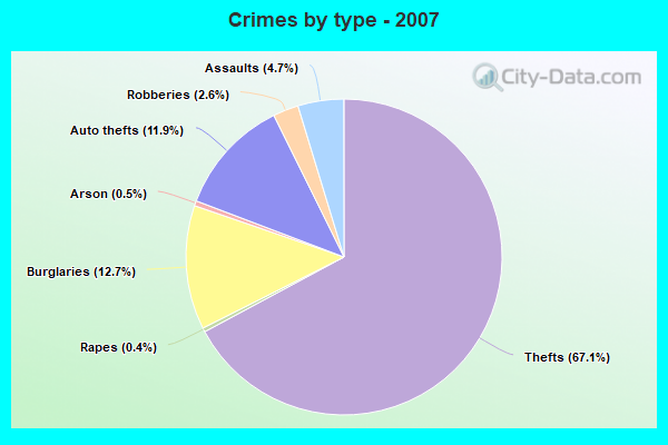 Crimes by type - 2007