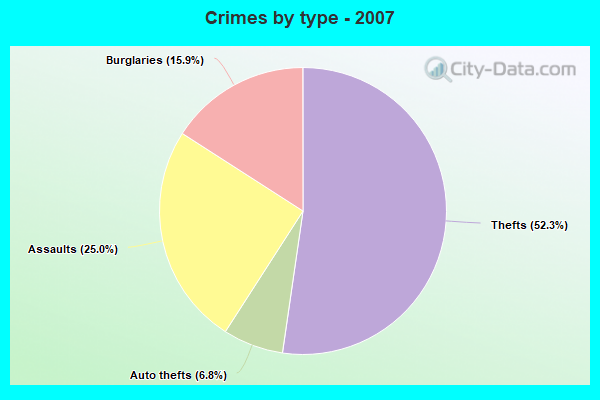 Crimes by type - 2007