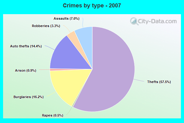 Crimes by type - 2007