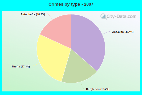 Crimes by type - 2007