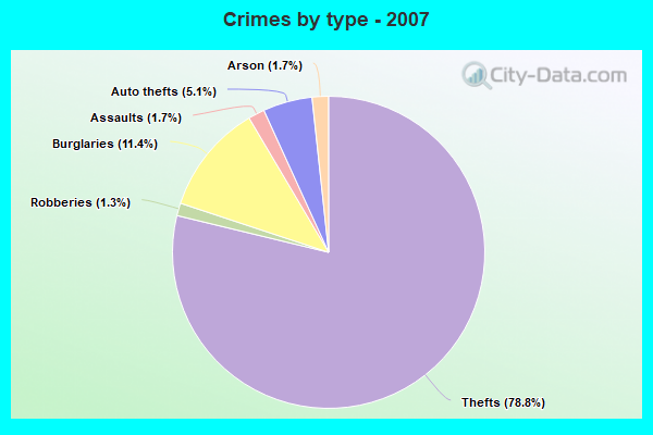 Crimes by type - 2007