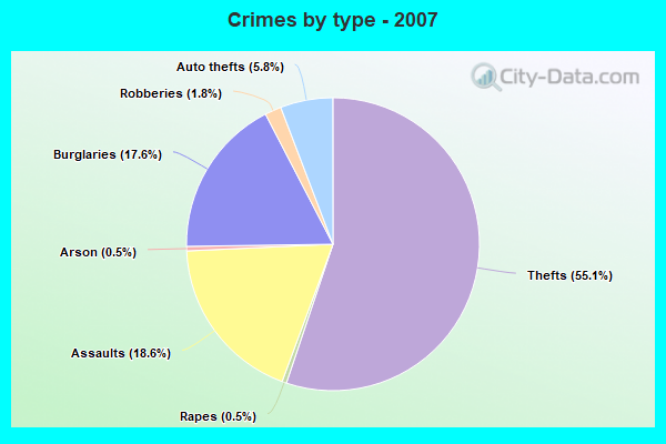 Crimes by type - 2007