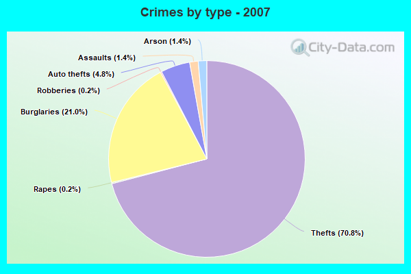 Crimes by type - 2007