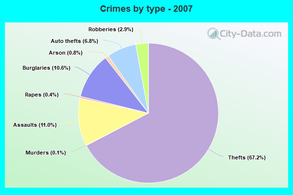 Crimes by type - 2007