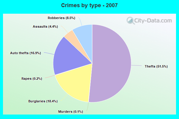 Crimes by type - 2007