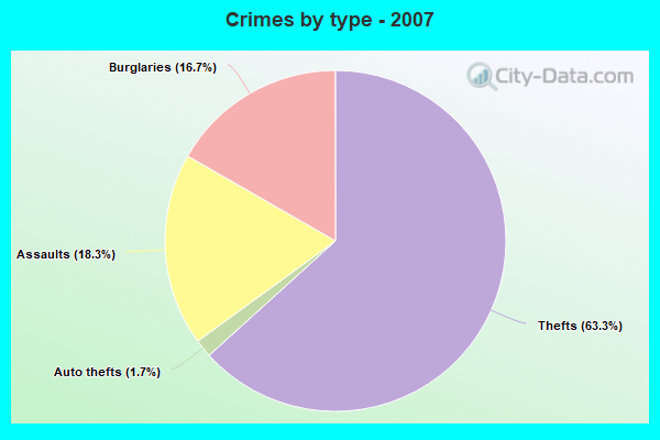 Crimes by type - 2007