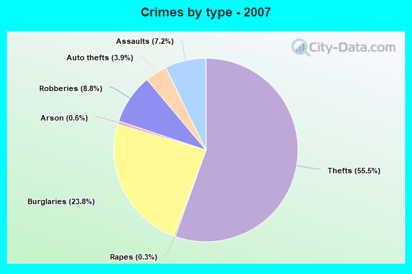 Crimes by type - 2007