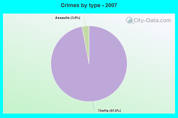 Crimes by type - 2007