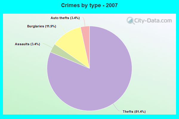 Crimes by type - 2007