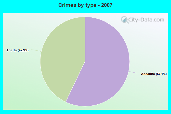 Crimes by type - 2007