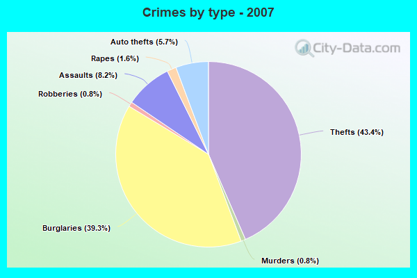 Crimes by type - 2007