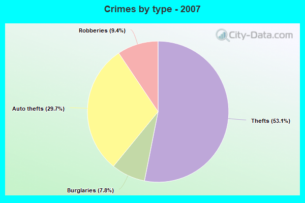 Crimes by type - 2007