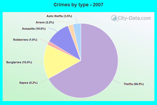 Crimes by type - 2007