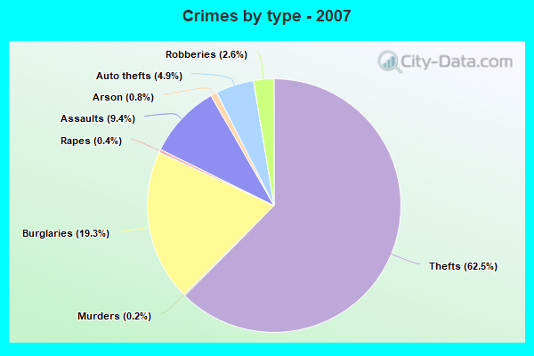 Crimes by type - 2007