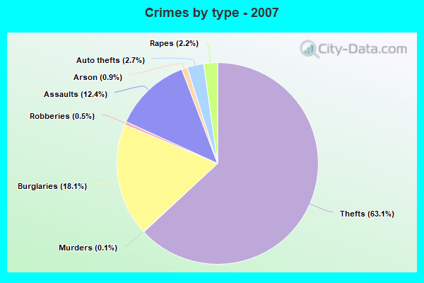 Crimes by type - 2007