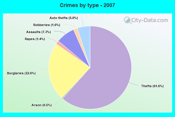 Crimes by type - 2007