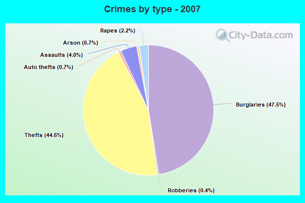 Crimes by type - 2007