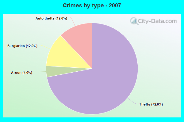 Crimes by type - 2007