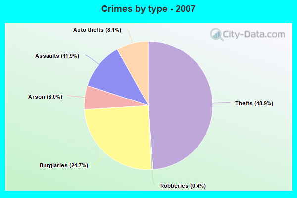 Crimes by type - 2007