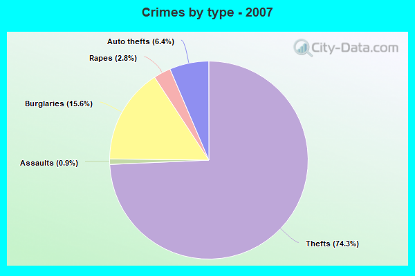 Crimes by type - 2007