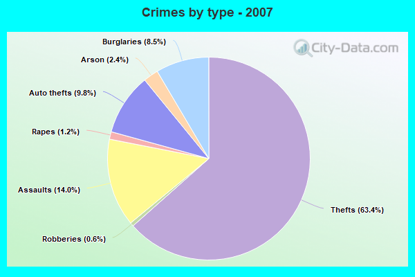 Crimes by type - 2007