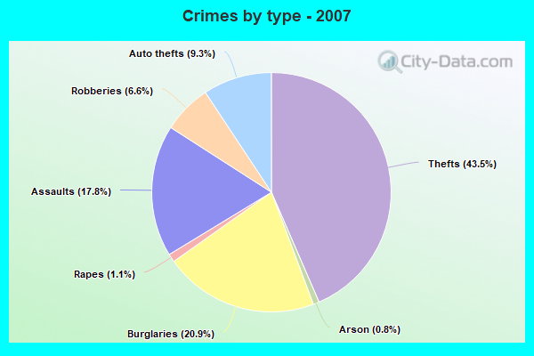 Crimes by type - 2007