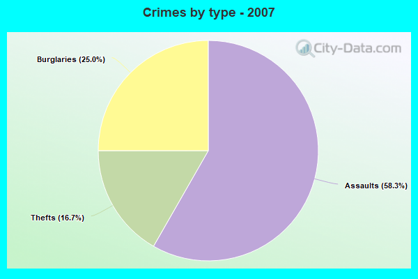 Crimes by type - 2007