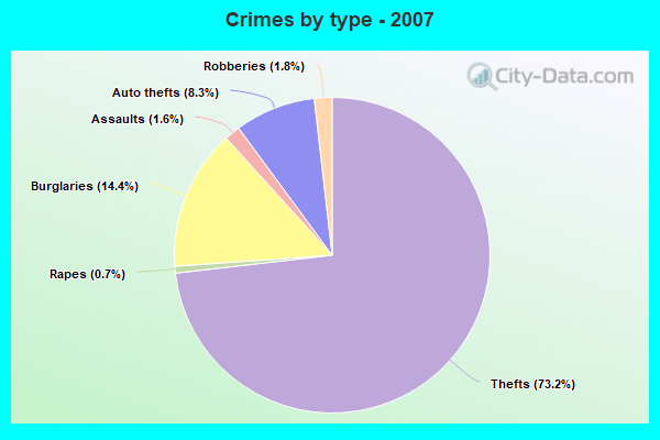 Crimes by type - 2007